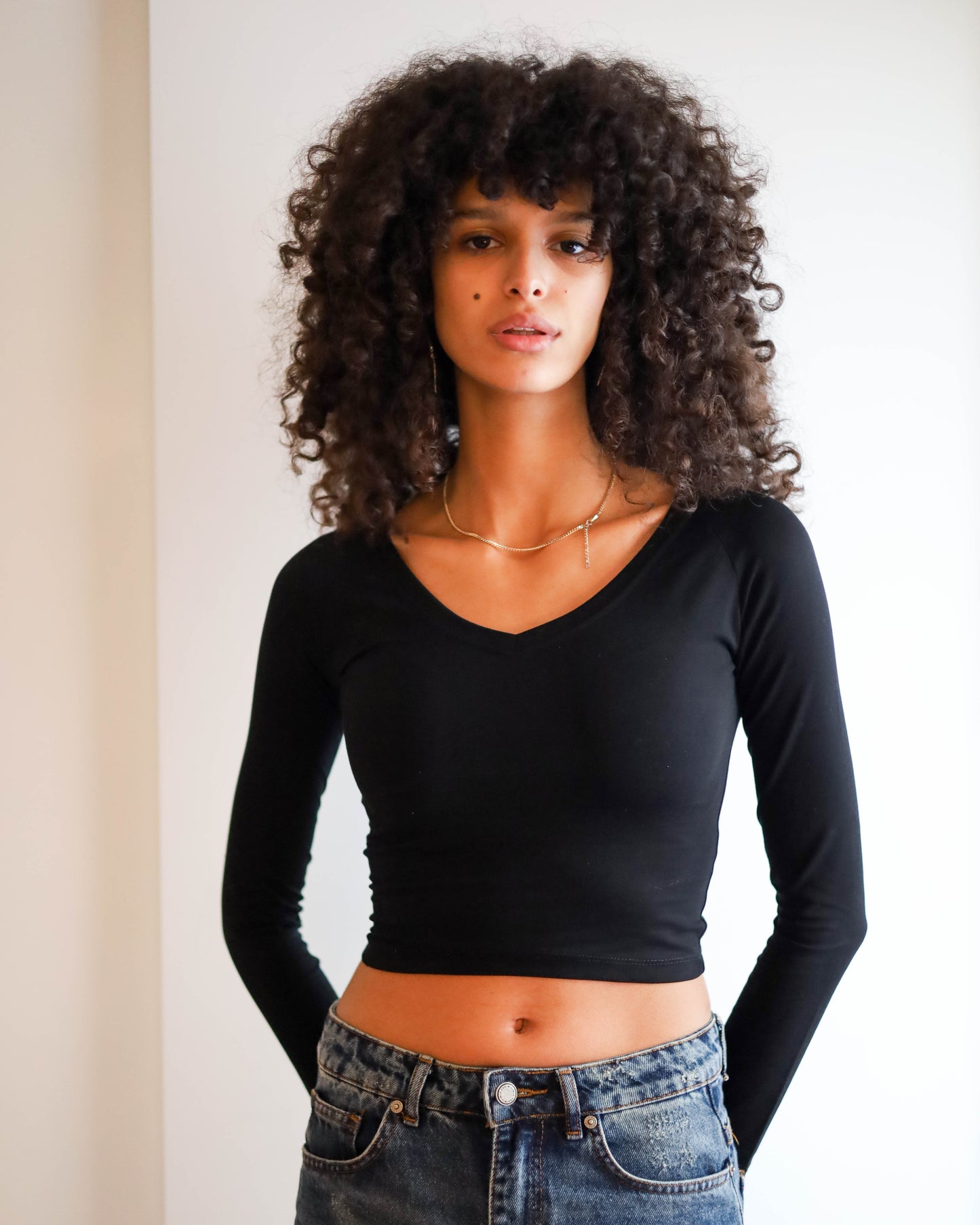 V Shape Long Sleeve Top (Black Cropped)