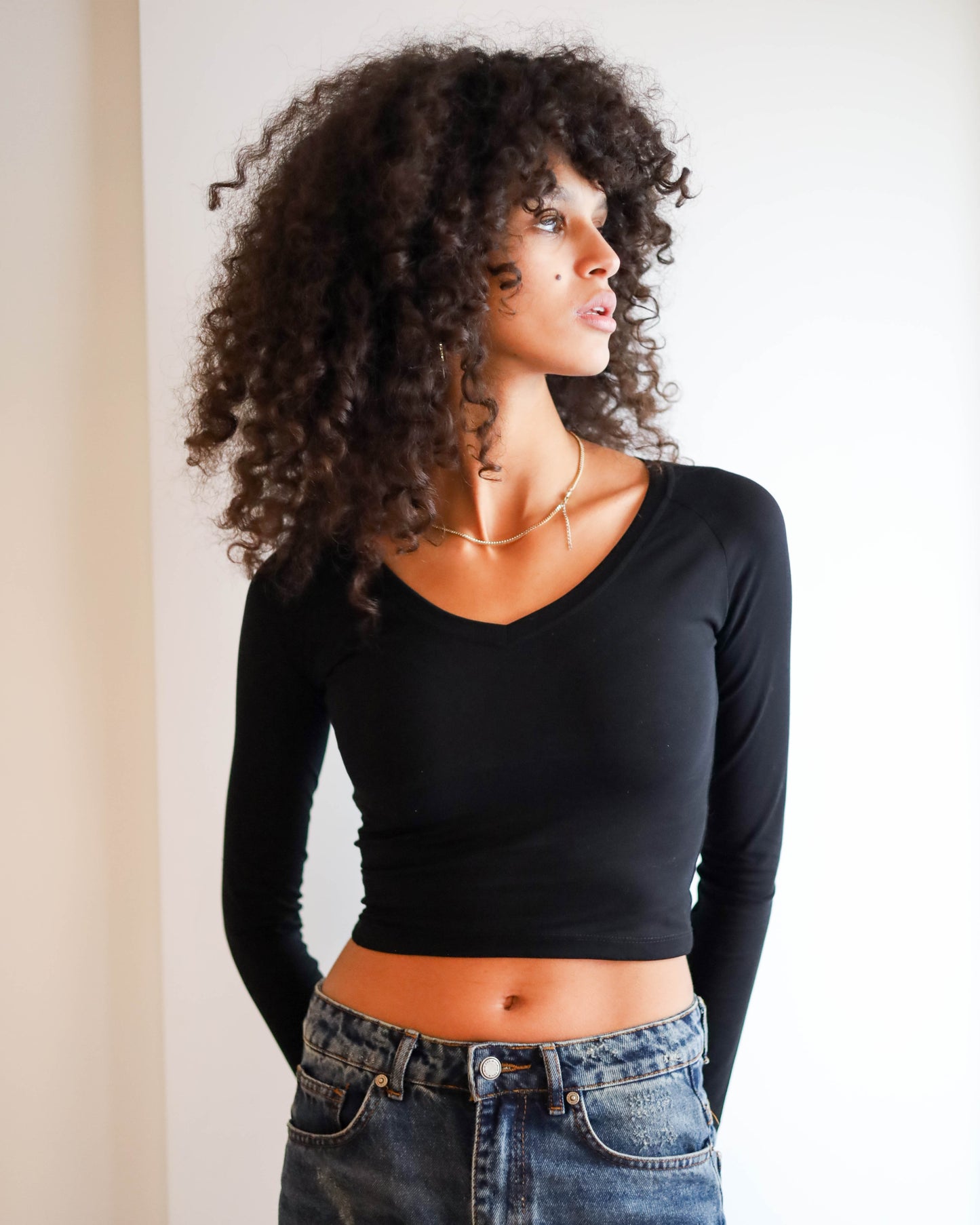 V Shape Long Sleeve Top (Black Cropped)